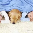 Business 3 image FRESHER CARPETS BIRMINGHAM Construction & Contractors in Birmingham We