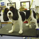 Business 3 image FRITH MICHAEL Pharmacies in Dorking Su