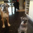 Business 1 image FRITH MICHAEL Pharmacies in Dorking Su