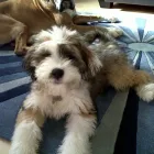 Business 2 image FRITH MICHAEL Pharmacies in Dorking Su