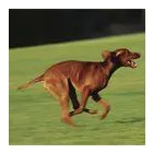 Business 4 image G.A.S AUTOCENTRE LTD Lpg in Huddersfield We