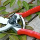 Business 1 image GARDEN-SCAPE BY STEPHEN CHEESE Garden Services in WIMBORNE Do