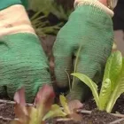 Business 1 image GARDENERS SLOUGH Landscapers in Slough Be