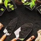 Business 2 image GARDENERS SLOUGH Landscapers in Slough Be