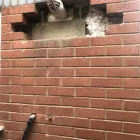 Business 12 image GAS CARE MANCHESTER Plumbing & HVAC Supplies in Cheadle Ch