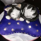 Business 4 image GILL & CO SOLICITORS Solicitors in Ilford Es