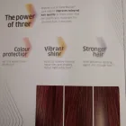 Business 1 image GIOVANNA HAIRDRESSERS Nail Salons & Technicians in Bedford Be