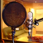 Business 4 image GOLDEN ACRES WHOLESALE NURSERY TRADE Horticultural Nurseries - Wholesale in Ferndown Do