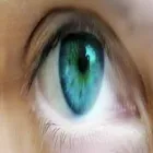 Business 2 image GRAHAM COE OPTICIANS Ophthalmic Opticians in Melton Mowbray Le