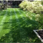 Business 2 image GREEN DROP GARDENS LTD Garden Services in Kingston Upon Thames Su