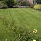 Business 1 image GREENTHUMB LAWN TREATMENT SERVICE (MILNGAVIE) Lawns in Glasgow La