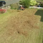Business 2 image GREENTHUMB LAWN TREATMENT SERVICE (MILNGAVIE) Lawns in Glasgow La