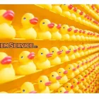 Business 1 image GREYHOUND CHROMATOGRAPHY & ALLIED CHEMICALS LTD Testing & Research Laboratories in Birkenhead Me