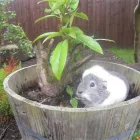 Business 2 image HAIR CONNEXION Hairdressers in Glasgow La