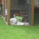 Business 3 image HAIR CONNEXION Hairdressers in Glasgow La