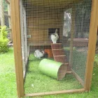 Business 4 image HAIR CONNEXION Hairdressers in Glasgow La