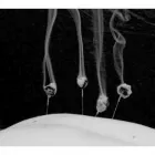 Business 2 image HALIFAX Banks & Financial Institutions in Slough Be