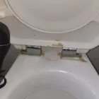 Business 29 image HARMONY HOUSE SERVICES LTD Upholstery Cleaners in London Gr