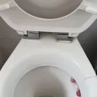 Business 30 image HARMONY HOUSE SERVICES LTD Upholstery Cleaners in London Gr