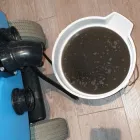 Business 37 image HARMONY HOUSE SERVICES LTD Upholstery Cleaners in London Gr