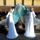 Business 17 image HELTER SKELTER ARTS Wedding Services in Loughborough Le