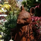 Business 13 image HILLIER GARDEN CENTRE MARLOW Restaurants in Marlow Bu