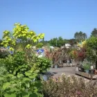 Business 28 image HILLIER GARDEN CENTRE MARLOW Restaurants in Marlow Bu
