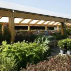 Business 30 image HILLIER GARDEN CENTRE MARLOW Restaurants in Marlow Bu