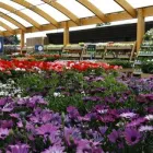 Business 31 image HILLIER GARDEN CENTRE MARLOW Restaurants in Marlow Bu