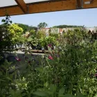 Business 33 image HILLIER GARDEN CENTRE MARLOW Restaurants in Marlow Bu