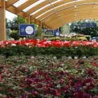 Business 37 image HILLIER GARDEN CENTRE MARLOW Restaurants in Marlow Bu