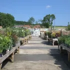 Business 42 image HILLIER GARDEN CENTRE MARLOW Restaurants in Marlow Bu