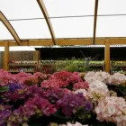 Business 44 image HILLIER GARDEN CENTRE MARLOW Restaurants in Marlow Bu