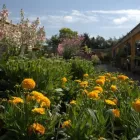Business 46 image HILLIER GARDEN CENTRE MARLOW Restaurants in Marlow Bu