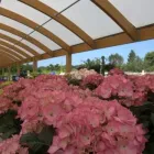 Business 51 image HILLIER GARDEN CENTRE MARLOW Restaurants in Marlow Bu