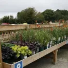 Business 58 image HILLIER GARDEN CENTRE MARLOW Restaurants in Marlow Bu