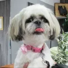 Business 3 image HLF BERRY SOLICITORS INCORPORATING ROBIN BURMAN & CO Solicitors in Manchester La