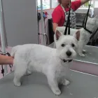 Business 4 image HLF BERRY SOLICITORS INCORPORATING ROBIN BURMAN & CO Solicitors in Manchester La