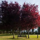 Business 43 image HOLIDAY INN IPSWICH Wedding Venues in IPSWICH Su