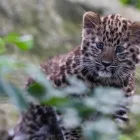 Business 51 image HOLIDAY INN WINCHESTER, AN IHG HOTEL Wedding Venues in Winchester Ha