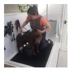 Business 19 image HOUSE OF HOUND HYDROTHERAPY Veterinary Services in Huddersfield We