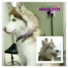Business 7 image HOUSE PETS - DOG & CAT GROOMING SPA Pets & Animals in Corby No