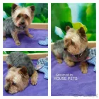Business 10 image HOUSE PETS - DOG & CAT GROOMING SPA Pets & Animals in Corby No