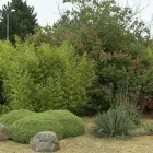 Business 1 image HOVIK JOINERY LTD Carpenters & Joiners in Northolt Mi