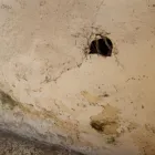 Business 3 image HYLTREAT Damp Proofing & Control in Clacton-On-Sea Es