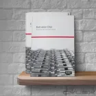 Business 14 image ICONCUR CREATIVE Web Design in Mildenhall Su