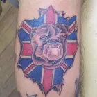 Business 21 image INKS & NEEDLES Tattooists in Harrow Mi