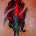 Business 5 image INKS & NEEDLES Tattooists in Harrow Mi
