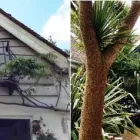 Business 5 image INTSERV PAINTING Painters & Decorators in Bournemouth Do