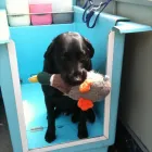 Business 3 image JADE PALACE Takeaway Food in Southampton Ha